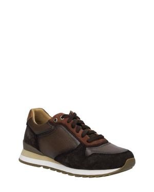 Josef Seibel Axel 01 Leather Sneaker - Brown