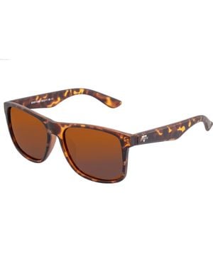 Sixty One Solaro Polarized Sunglasses - Brown