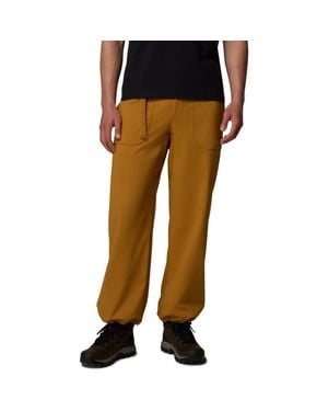 Columbia High Cascades Water Repellent Pants - Brown