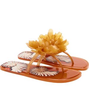 FARM Rio Flower Jelly Flip Flop - Brown