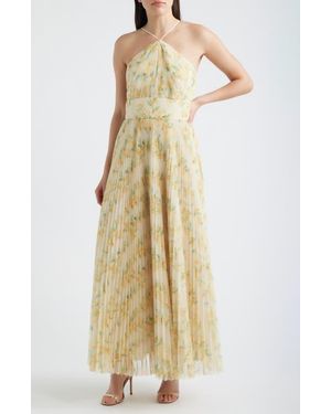 Hutch Blaine Pleated Gown - Natural