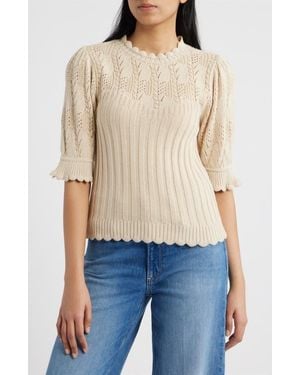 Wit & Wisdom Mixed Stitch Elbow Sleeve Sweater - Blue