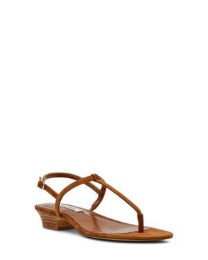 Steve Madden Ralia Slingback Sandal - Brown