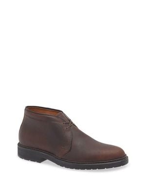 Alden Burnished Chukka Boot - Brown