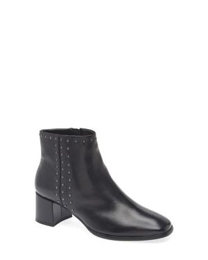 Regarde Le Ciel Pilar Studded Bootie - Multicolor