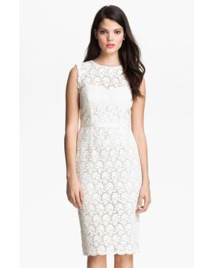 JILL Jill Stuart Illusion Yoke Lace Sheath Dress - White