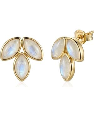 st. Moran Marquise Moonstone Stud Earrings - Metallic
