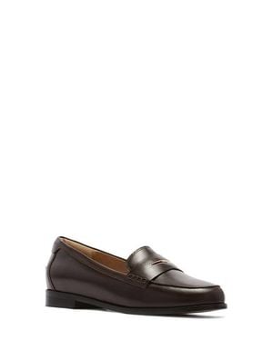 Frankie Franklin Penny Loafer - Multicolor