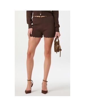 Astr Scalloped Edge Knit Shorts - Brown