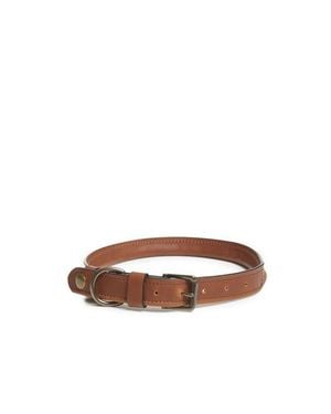 Korchmar Gordon Leather Dog Collar - Brown