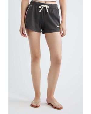 Rip Curl Surf Revival Fleece Shorts - Black