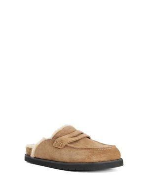 Dune Goldy Faux Shearling Lined Mule - Brown