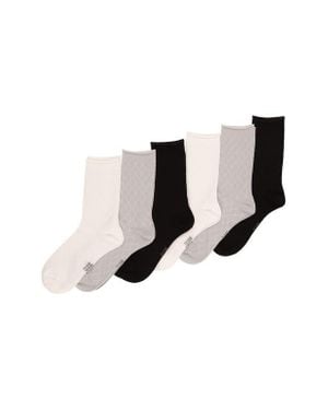 Felina Assorted 6-Pack Textured Mesh Roll Top Crew Socks - Black