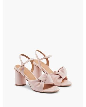 Maguire Noto Heel - Pink