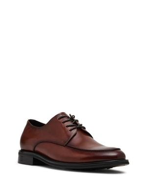 Steve Madden Pelicane Derby - Brown