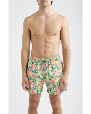 Boardies Citrus Disco Print Swim Trunks - Blue