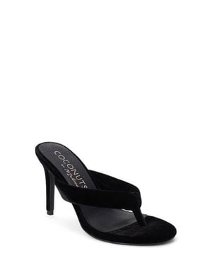 Matisse Calvin Flip Flop - Black