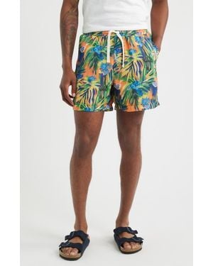 RIZORT Palm Shorts - Green