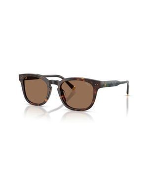 Polo Ralph Lauren 52Mm Square Sunglasses - Brown