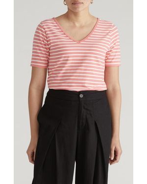 UNIVERSAL STANDARD Double V-Neck T-Shirt - Pink