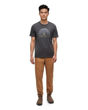 Tentree Vintage Sunset T-Shirt - Gray