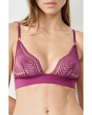 Etam Audace Lace Triangle Bra - Purple