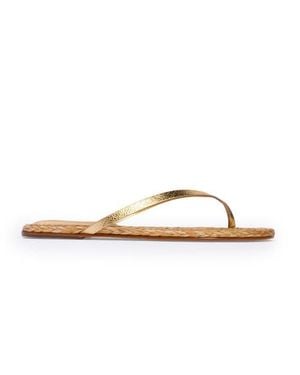 Black Suede Studio Alaya Sandal - Brown