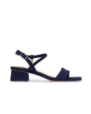 Bernardo Josei Low Heel Sandal - Blue
