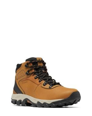 Columbia Newton Ridge Plus Ii Waterproof Hiking Boot - Brown