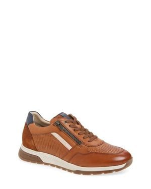 Fluchos Louis Sneaker - Brown