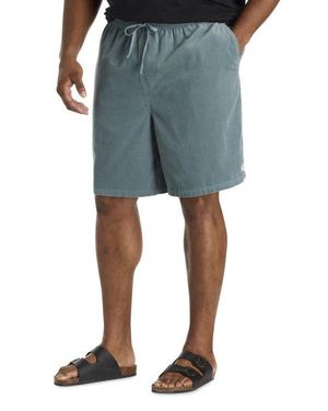 O'neill Sportswear Big & Tall Cord Shorts - Blue