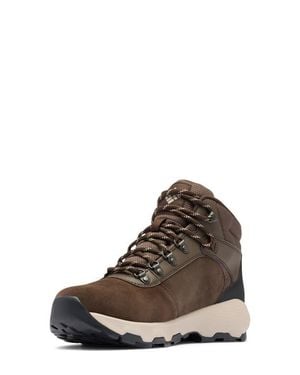 Columbia Newton Wander Waterproof Hiking Boot - Brown