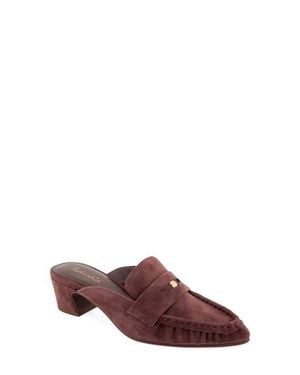 Splendid Lotus Penny Loafer Mule - Brown