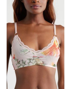 Kilo Brava Lace Trim Stretch Mesh Bralette - Brown