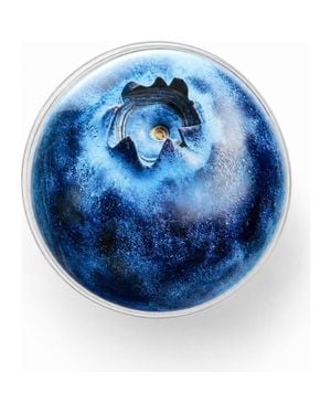 Cordée Cases Lilac Orchid Magnetic Phone Grip - Blue
