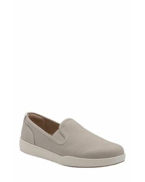 ABEO Encore Slip On Sneaker - Gray