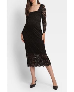 Seraphine Lace Maternity Body-Con Dress - Black