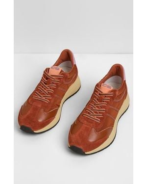 Charlotte Stone Sawyer Sneaker - Brown