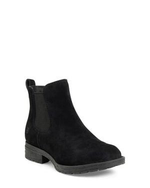 Børn Cove Waterproof Chelsea Boot - Black