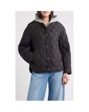 Sam Edelman Hoodie Bib Quilted Jacket - Black