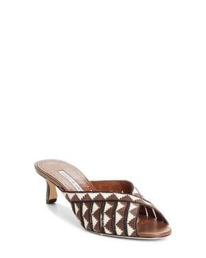 Manolo Blahnik Trofesamu Slide Sandal - Multicolor