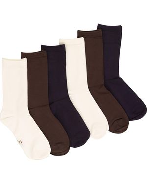 Felina Assorted 6-Pack Soft Crew Socks - Brown