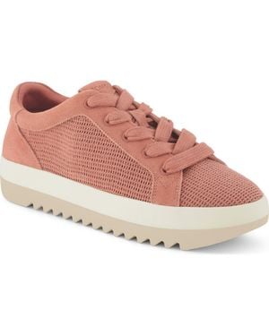 TOMS Rea Platform Sneaker - Pink