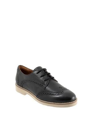 Softwalk Willet Wingtip Derby - Black