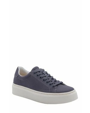 ABEO Jumpstreet Sneaker - Blue