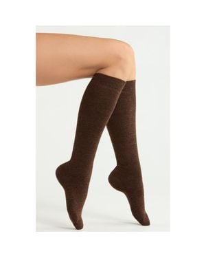 Nordstrom Assorted 2-Pack Merino Wool Blend Knee High Socks - Brown