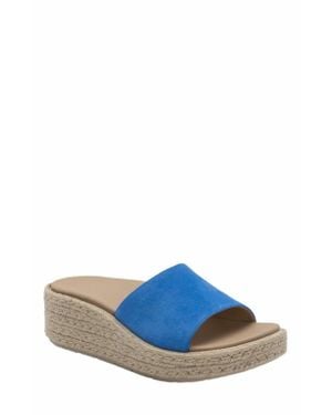 ABEO Solstice Slide - Blue