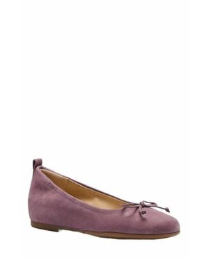 ABEO Cadence Bow Ballet Flat - Pink