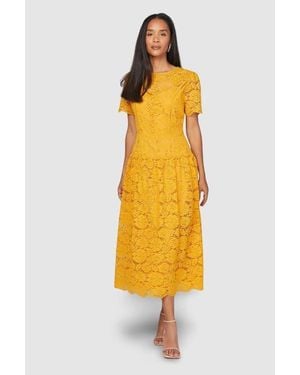 Wallis Lace Button Detail Drop Hem Midi Dress - Yellow