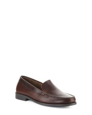 Bos. & Co. Dela Loafer - Brown